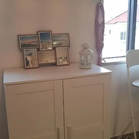 Miau - Pet Friendly Praia de Mira