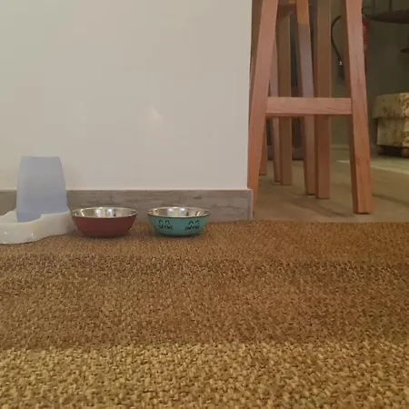 Apartamento Miau - Pet Friendly