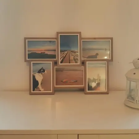 Apartamento Miau - Pet Friendly Praia de Mira