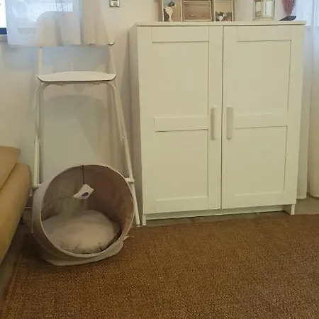 Miau - Pet Friendly *