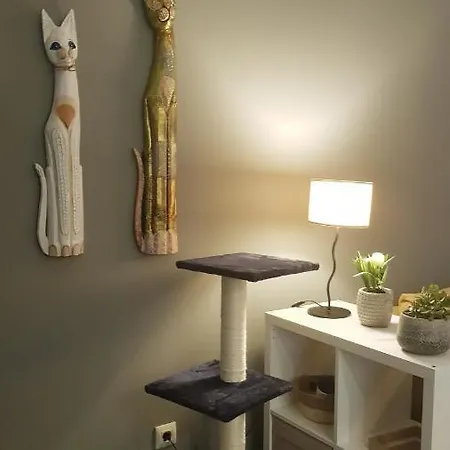 Miau - Pet Friendly Apartamento Praia de Mira