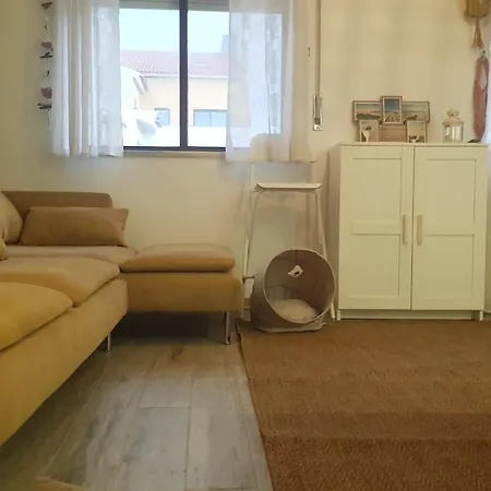 Miau - Pet Friendly