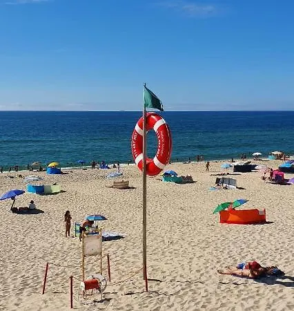 Miau - Pet Friendly Apartamento Praia de Mira
