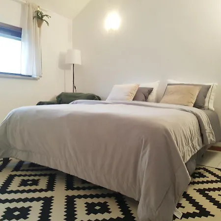 Miau - Pet Friendly * Praia de Mira
