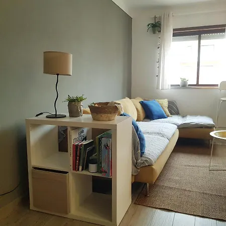 Miau - Pet Friendly Apartamento Praia de Mira