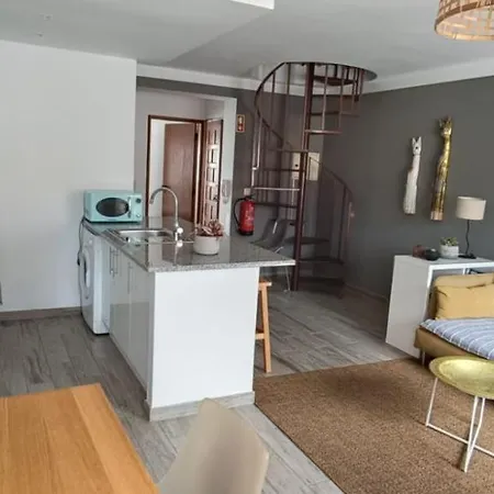 Miau - Pet Friendly Praia de Mira