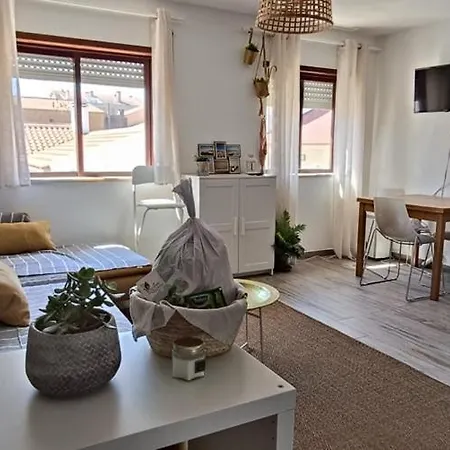 Miau - Pet Friendly Apartamento Praia de Mira